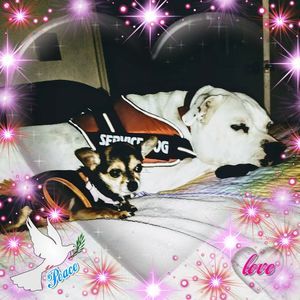 Meet your Posher, Rebecca